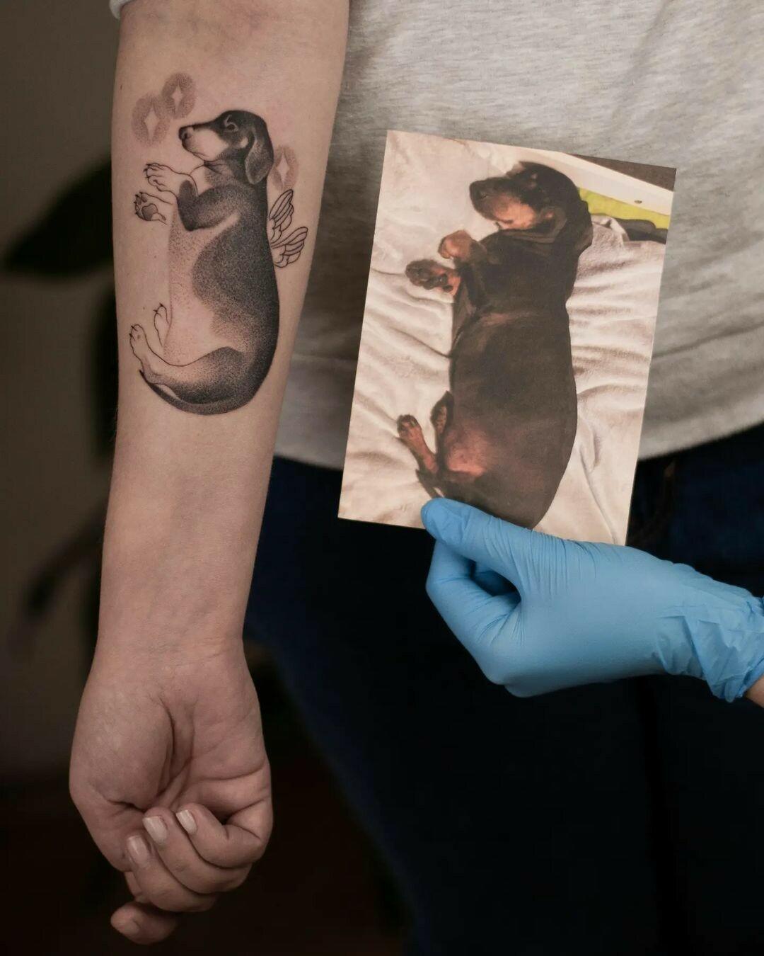 Inksearch tattoo Klarcia Dziarcia