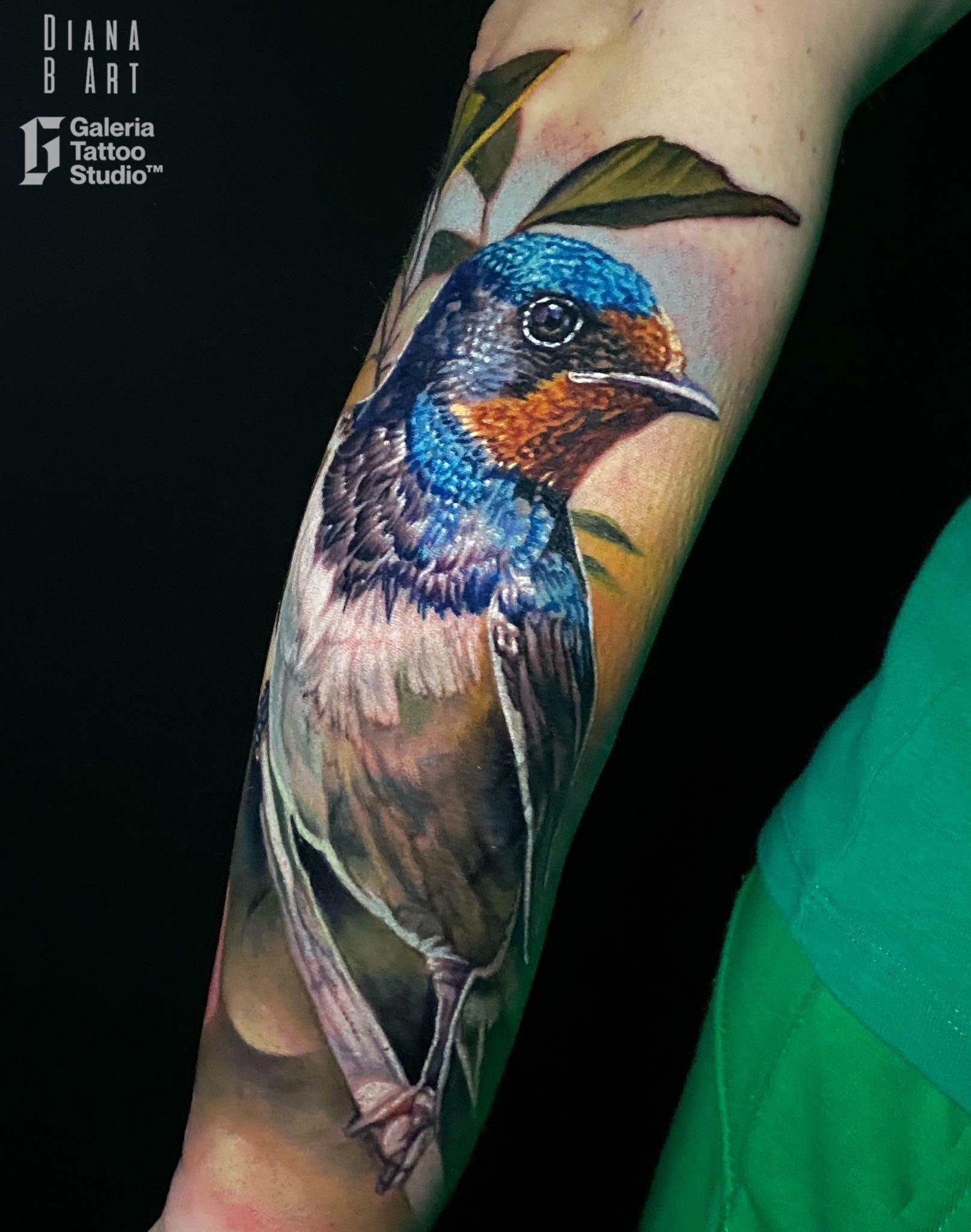 Inksearch tattoo Galeria Tattoo Studio