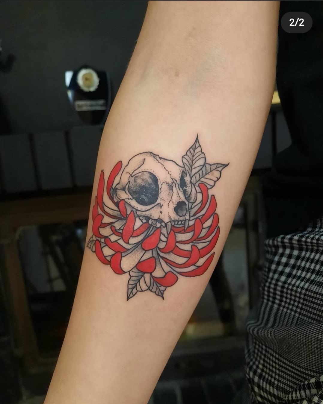 Inksearch tattoo Koti Tattoo Anna Pękala