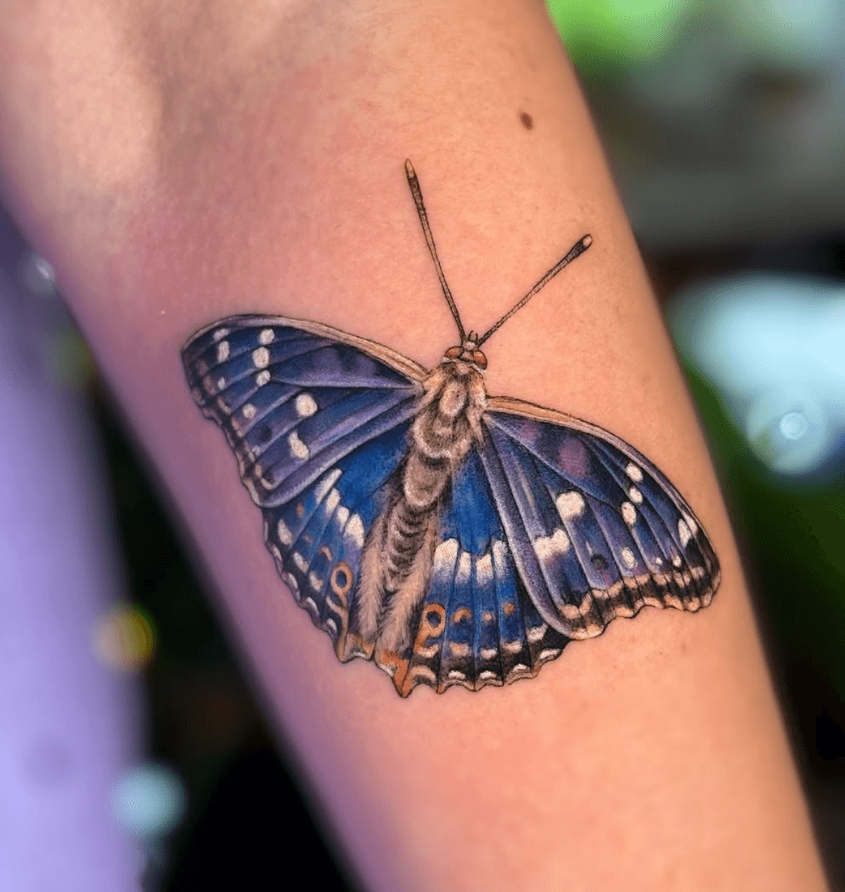 Inksearch tattoo Vertigo Tattoo - Zielona Góra