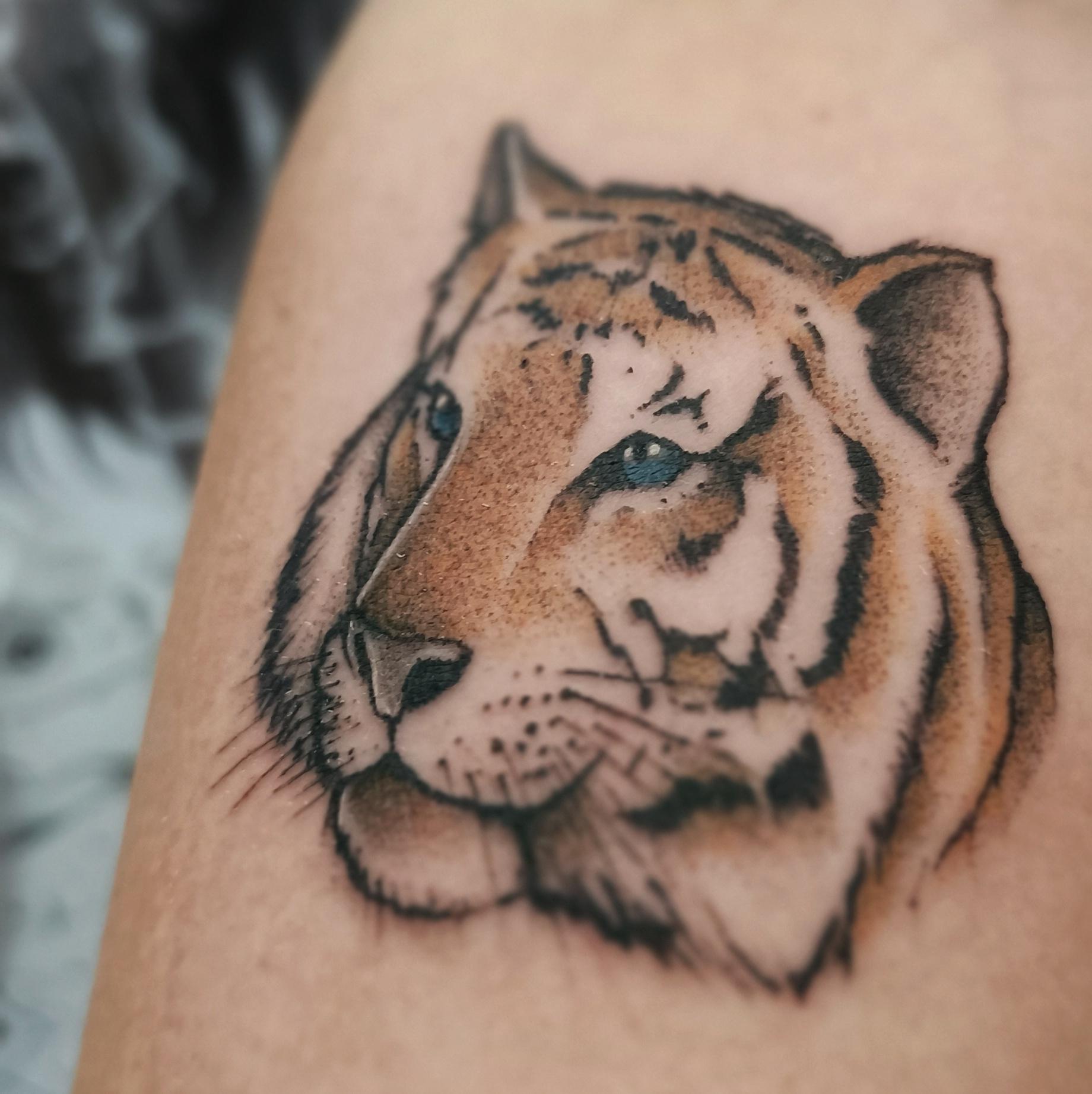 Inksearch tattoo Adam Poręba