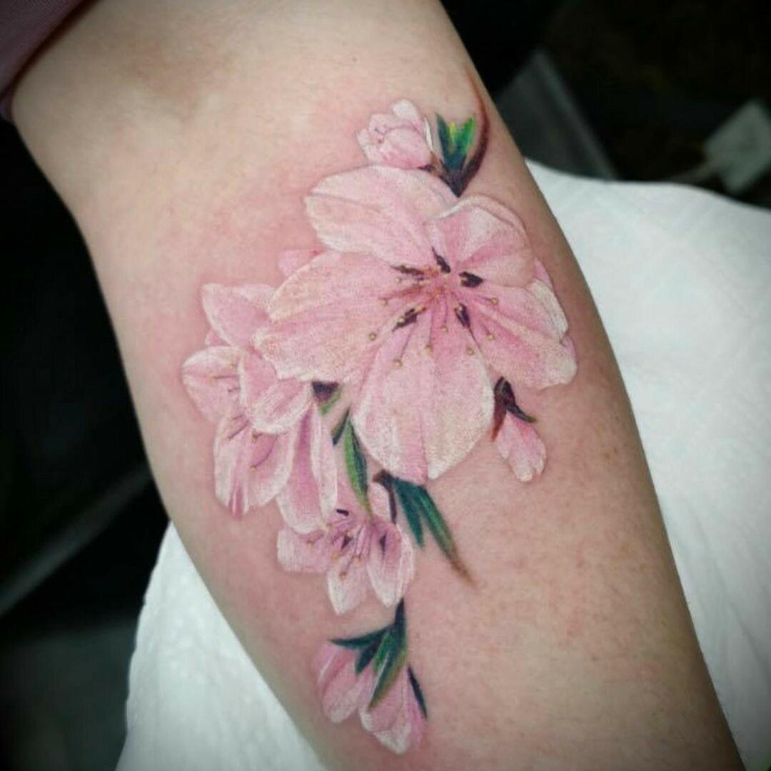 Inksearch tattoo Black Cats Tattoo