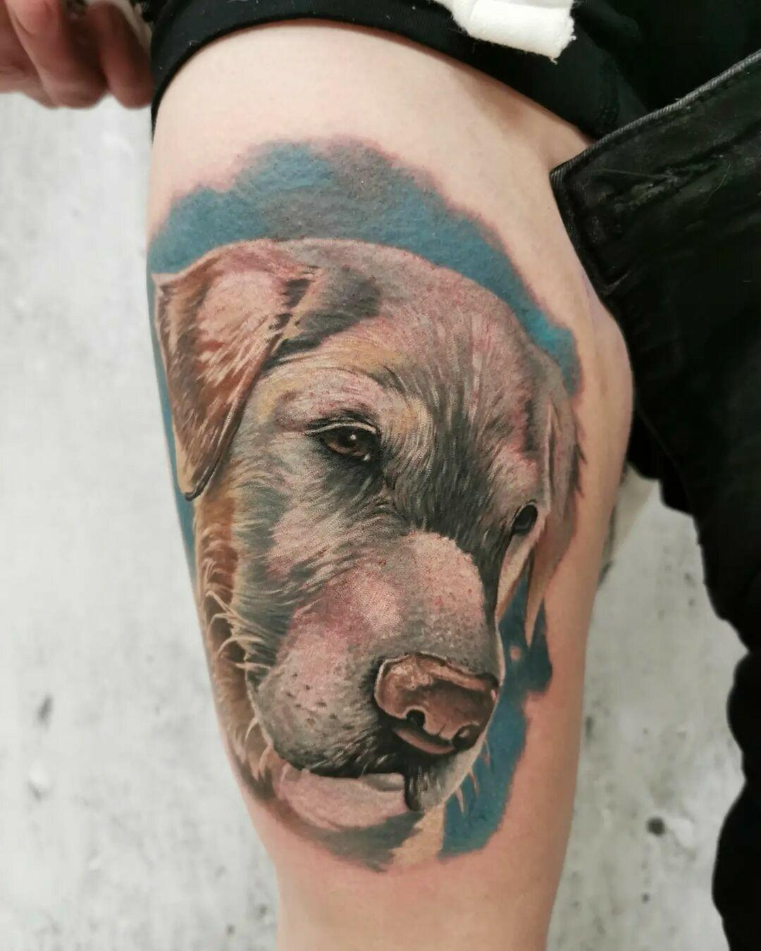 Inksearch tattoo Speak In Color