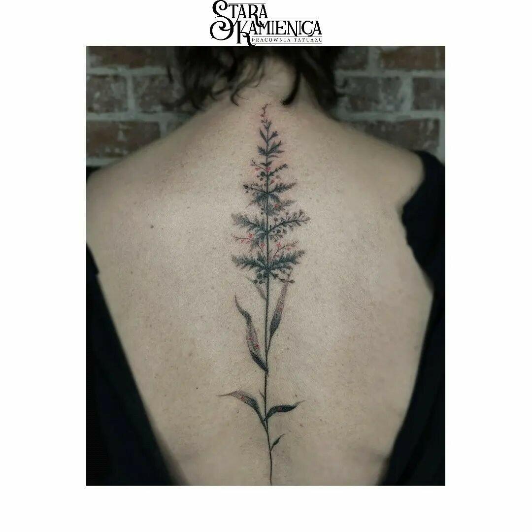 Inksearch tattoo Stara Kamienica Pracownia Tatuażu