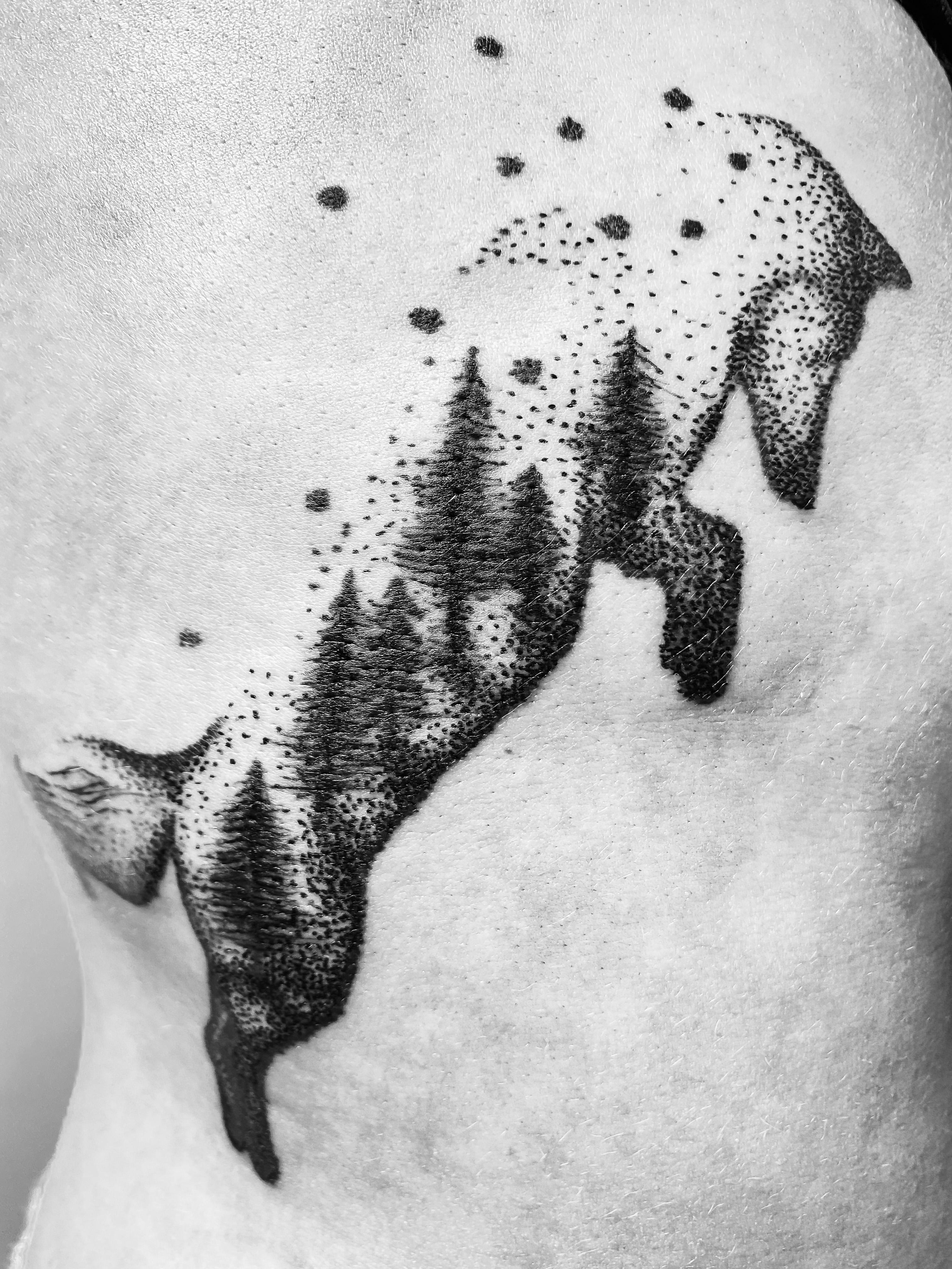 Inksearch tattoo T.S.R. Tattoo