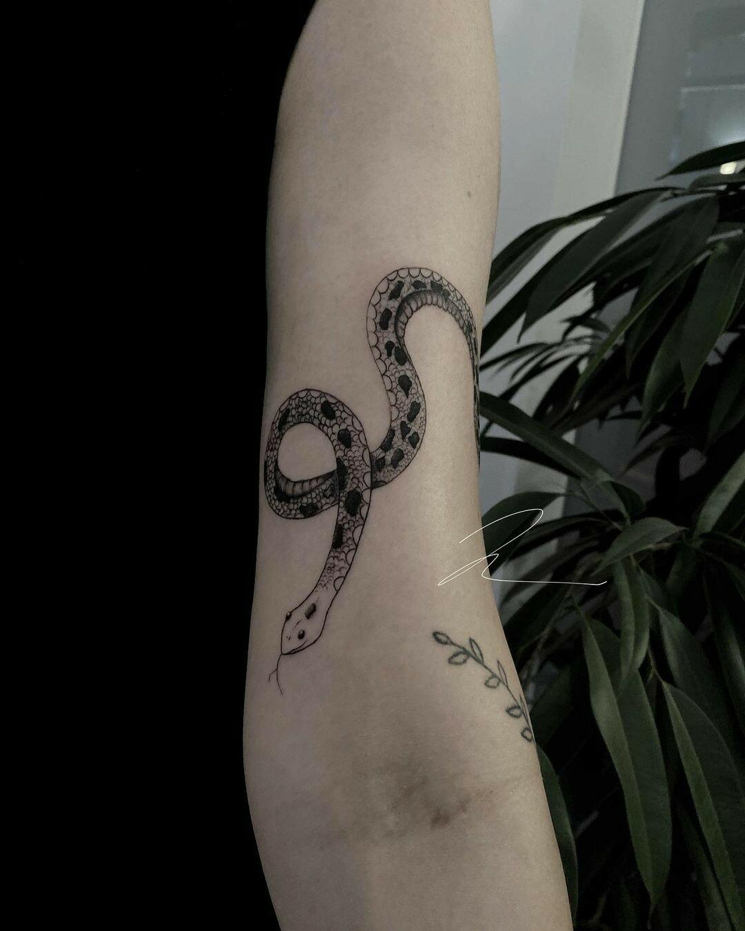 Inksearch tattoo Zuroose