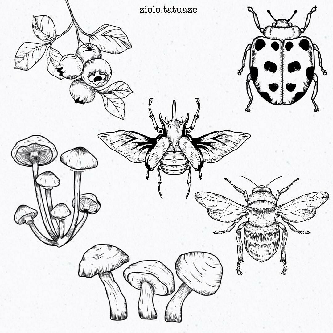 Inksearch tattoo Zioło Tatuaże