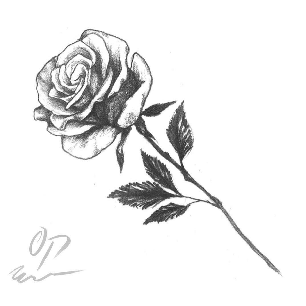 Inksearch tattoo ostatnia_prosta_