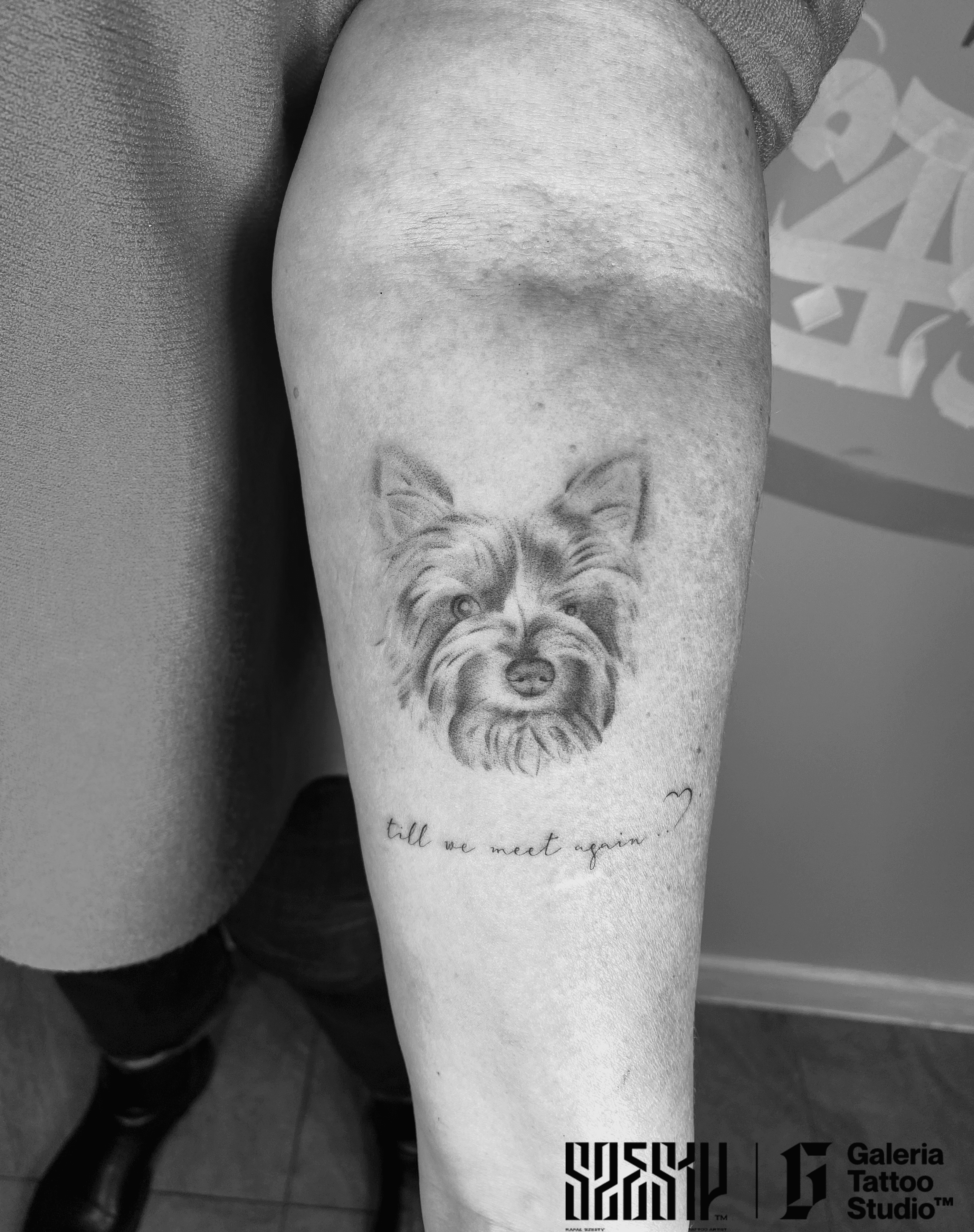 Inksearch tattoo Szesty