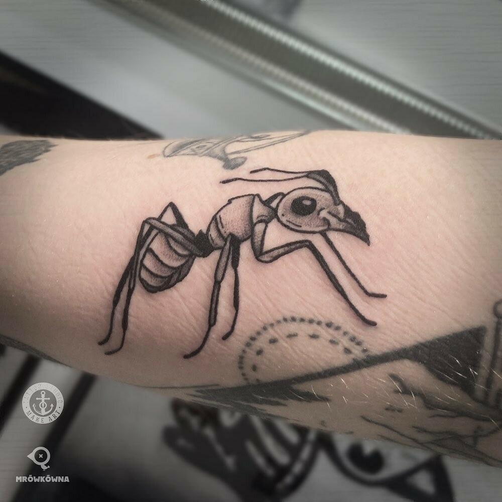 Inksearch tattoo ANNA MRÓWKÓWNA