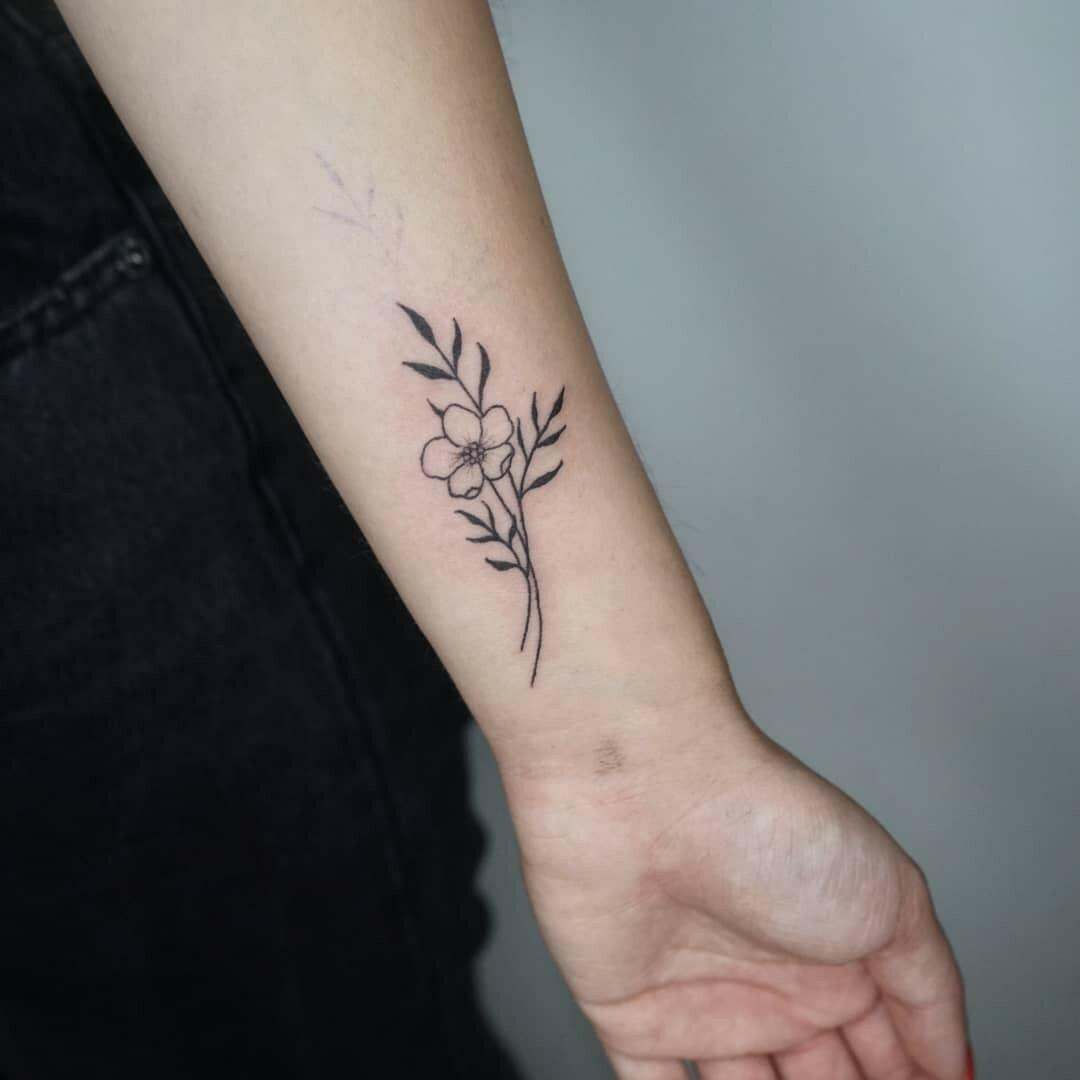Inksearch tattoo Koti Tattoo Anna Pękala