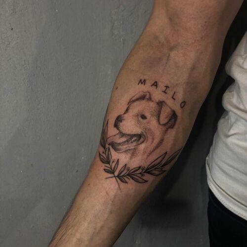 Sasia inksearch tattoo