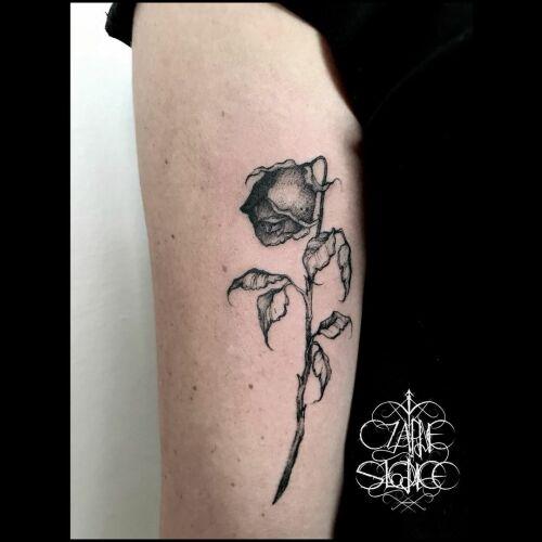 Czarne słońce tattoo inksearch tattoo