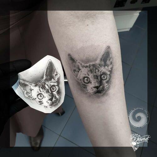Dawid "Fanatyk" Grzybowski inksearch tattoo