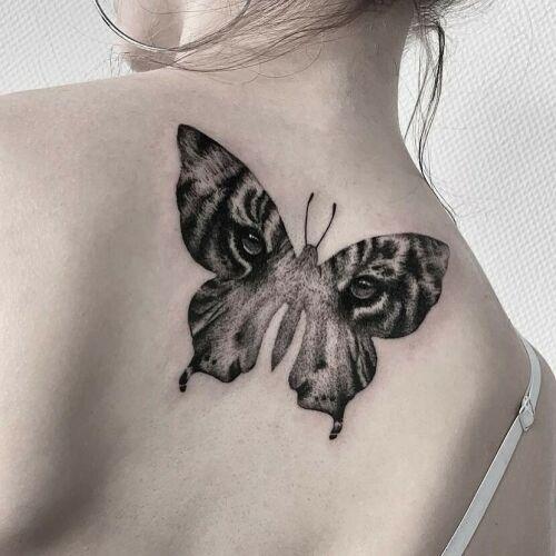 Nautilus Tattoo Studio inksearch tattoo