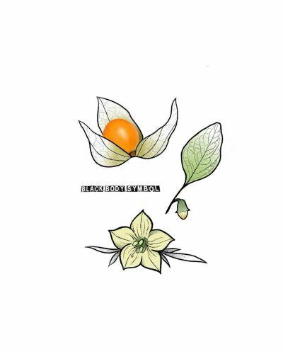 Halko Tattoo Vegan Tattoos inksearch tattoo