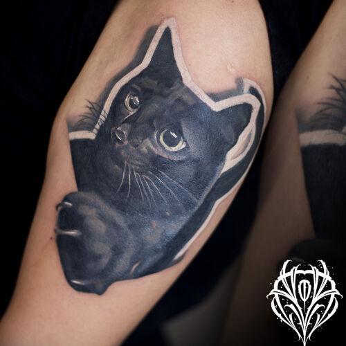 Dziary i Gitary inksearch tattoo