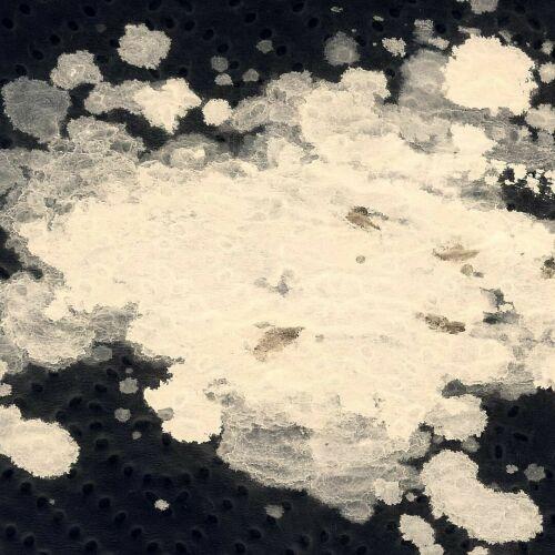 Szymon Gdowicz inksearch tattoo