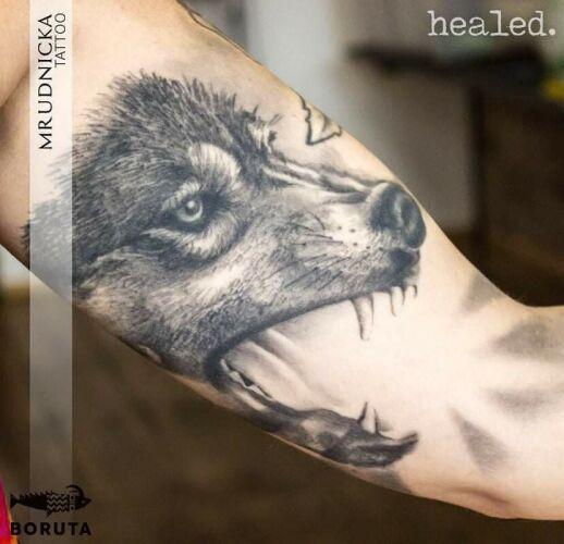 Boruta Tattoo & Art Collective inksearch tattoo